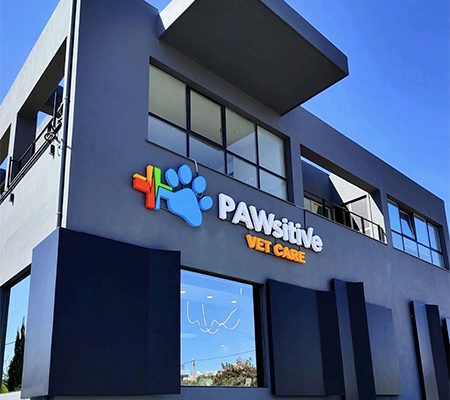 pawsitive-clinic-image1
