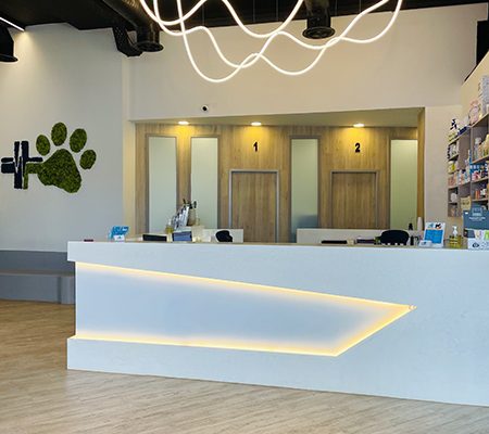 pawsitive-clinic-image2