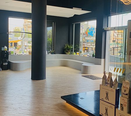 pawsitive-clinic-image3