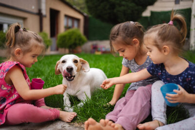 Three smiling girls enjoy feeding a cheerful dog in a vibrant backyard.