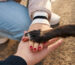 Young people on a walk with a dog in the park, they made a pyramid of palms and paws